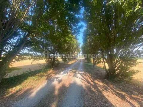 Villa unifamiliare Strada Provinciale San C, Centro, Castelnuovo Scrivia — foto 17 di 36