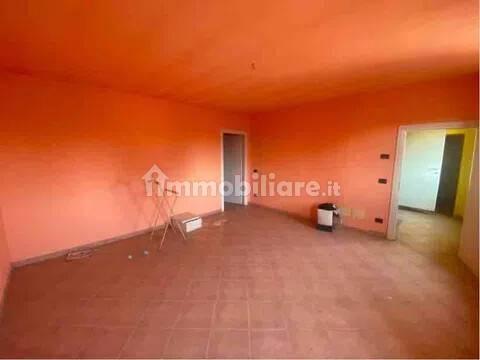 Villa unifamiliare Strada Provinciale San C, Centro, Castelnuovo Scrivia — foto 33 di 36