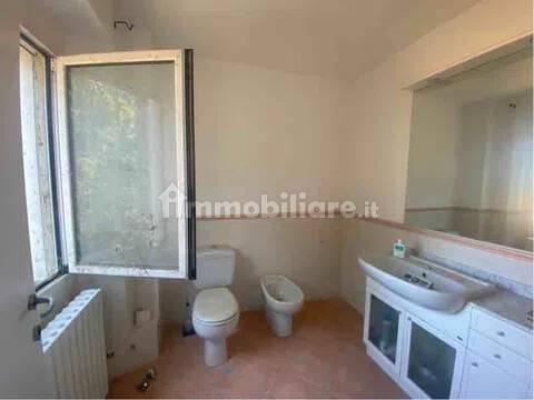 Villa unifamiliare Strada Provinciale San C, Centro, Castelnuovo Scrivia — foto 19 di 36