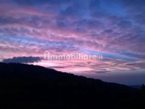Villa unifamiliare Strada Provinciale 115 San C, Giarolo, Montacuto — foto 28 di 33