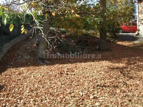 Cascina Località Colombara, 12, Cerré Sologno, Villa Minozzo — foto 8 di 17