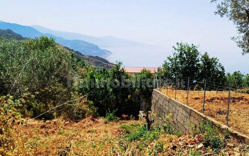 Villa unifamiliare Dattilo, Cetraro — foto 18 di 46