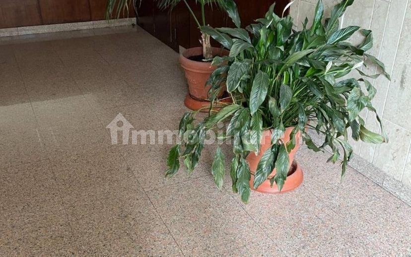 Appartamento via Alessandro Roccavilla 4, Centro Storico, Biella — foto 23 di 32