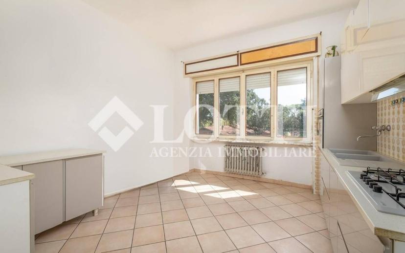 Quadrilocale via degli Allori,  26, Tirrenia, Pisa — foto 19 di 27