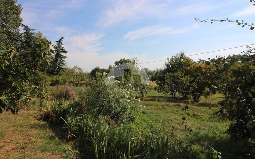 Terratetto plurifamiliare Strada La Branzola 23, La Branzola, Villanova Mondovì — foto 32 di 66