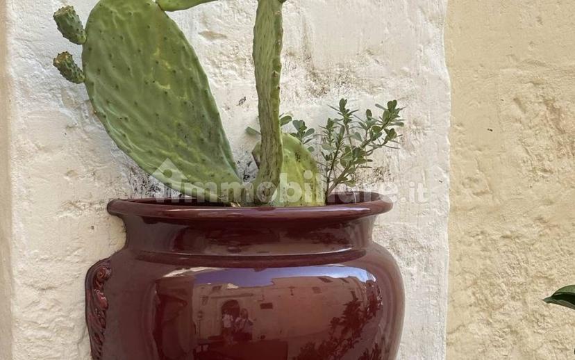 Villa unifamiliare via Roma, Città Giardino, Viareggio — foto 11 di 22