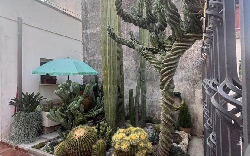 Villa unifamiliare via Roma, Città Giardino, Viareggio — foto 4 di 22