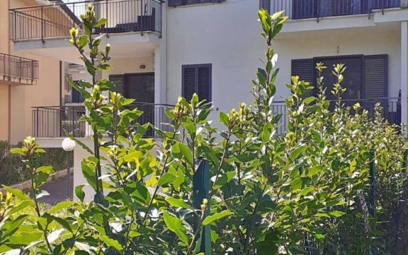 Villa bifamiliare via Casilina Nord 16, Tribunale, Frosinone — foto 27 di 35