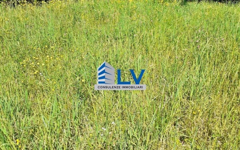 Villa bifamiliare via Casilina Nord 16, Tribunale, Frosinone — foto 16 di 35