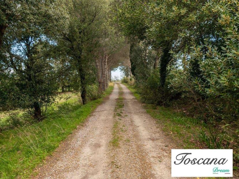 Rustico, da ristrutturare, 628 m², Monterotondo Marittimo — foto 31 di 40