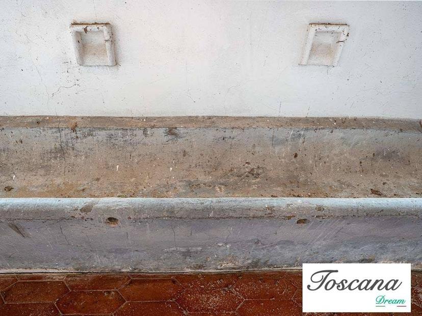 Rustico, da ristrutturare, 628 m², Monterotondo Marittimo — foto 11 di 40