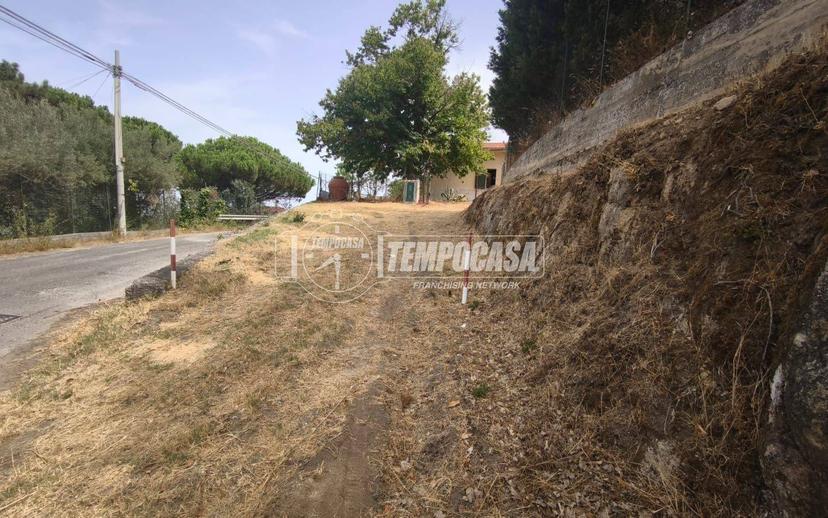 Trilocale Strada Provinciale 110, Montalbano Elicona — foto 14 di 31