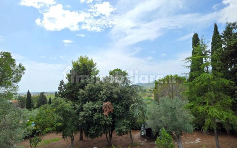 Villa unifamiliare Vle della Libertà, 11, Centro, Suvereto — foto 4 di 53