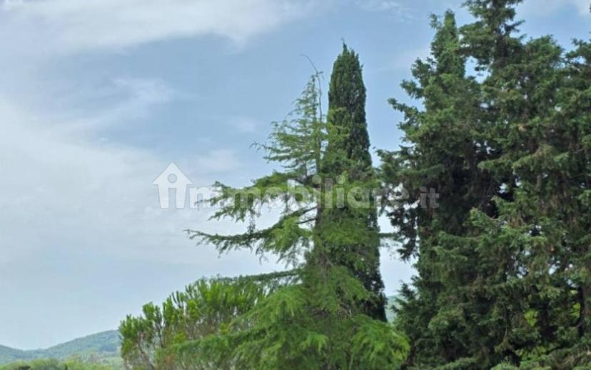 Villa unifamiliare Vle della Libertà, 11, Centro, Suvereto — foto 45 di 53