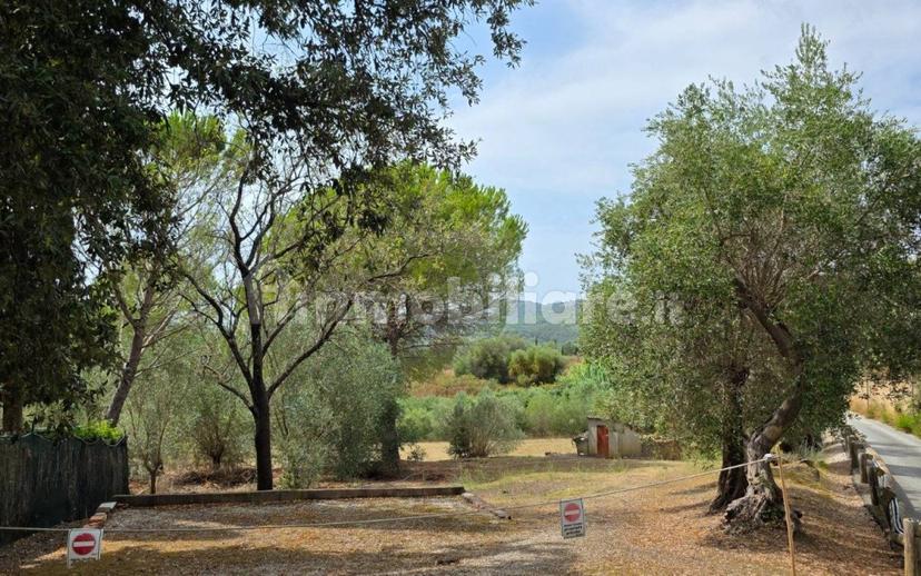 Villa unifamiliare Vle della Libertà, 11, Centro, Suvereto — foto 19 di 53