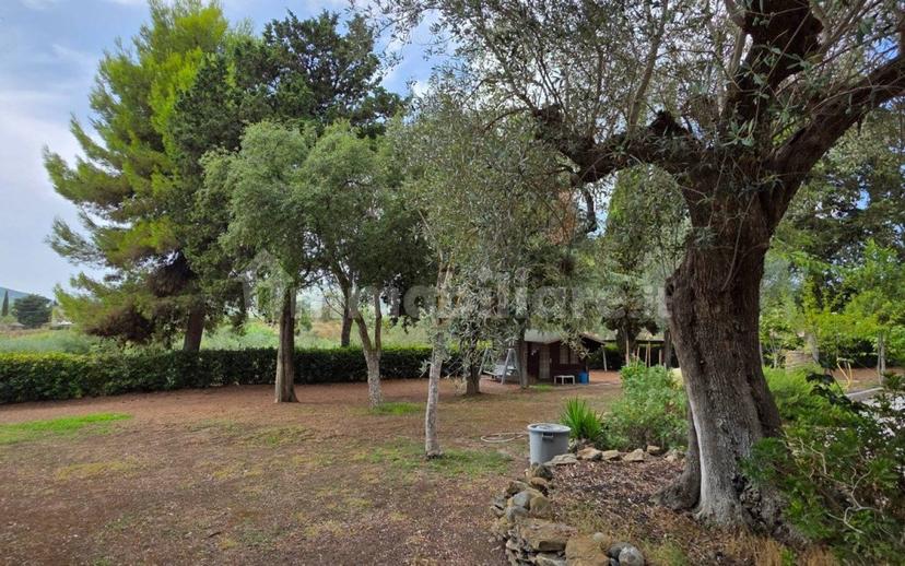 Villa unifamiliare Vle della Libertà, 11, Centro, Suvereto — foto 51 di 53