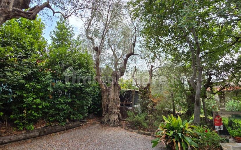 Villa unifamiliare Vle della Libertà, 11, Centro, Suvereto — foto 7 di 53