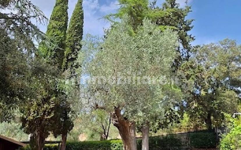 Villa unifamiliare Vle della Libertà, 11, Centro, Suvereto — foto 46 di 53