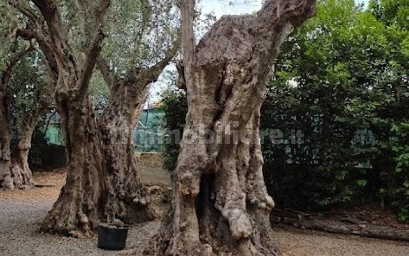 Villa unifamiliare Vle della Libertà, 11, Centro, Suvereto — foto 6 di 53