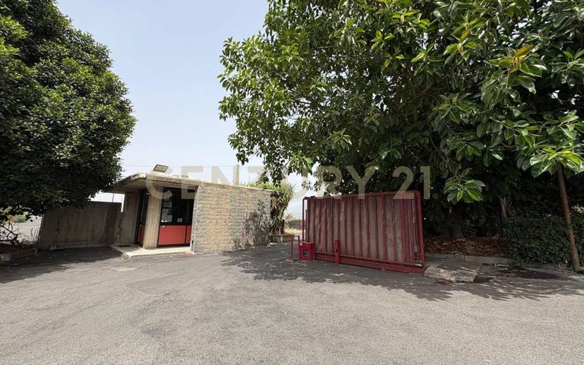 Appartamento Sp13 49, Motta Sant'Anastasia — foto 5 di 30