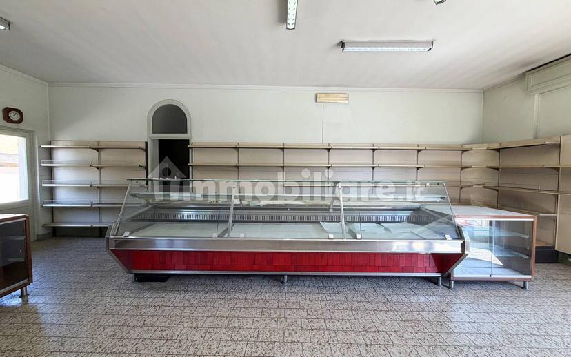 Villa unifamiliare via Giuseppe Garibaldi 131, Centro, Canneto sull'Oglio — foto 14 di 23