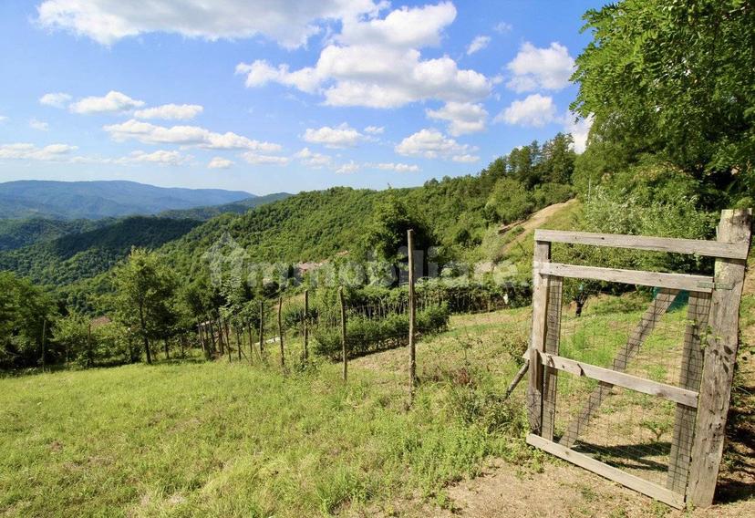 Villa a schiera via della Collina, Cavarzano, Vernio — foto 4 di 23