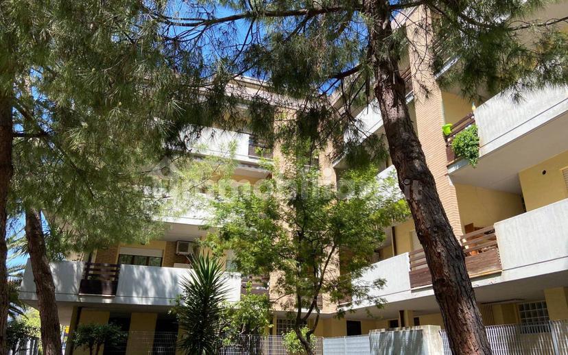 Trilocale via del Santuario 181, Colli Innamorati - Madonna, Pescara — foto 8 di 8