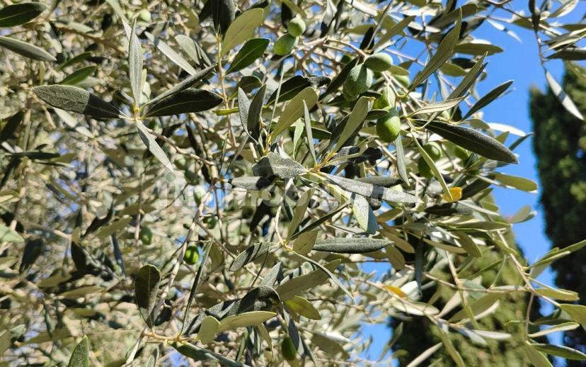 Casale via Lazio 2, Caldare, Orte — foto 2 di 7