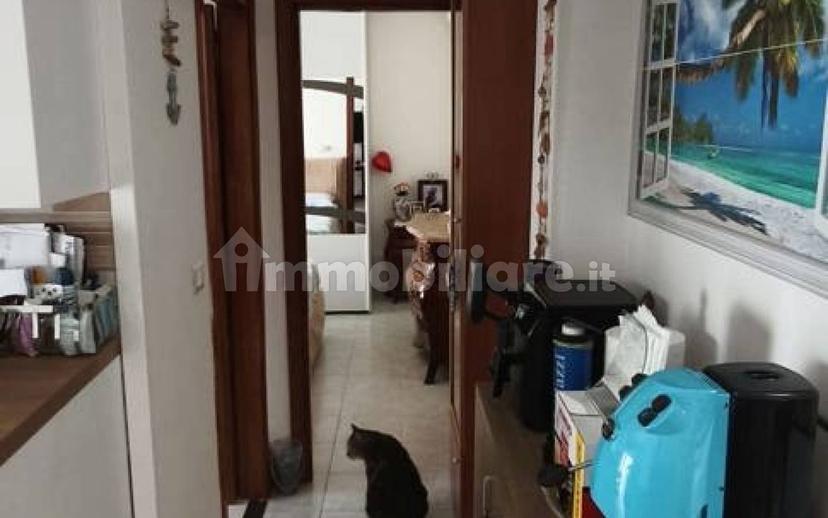 Trilocale via Fiume Lao 411/F, Centro, Arenile, Scalea — foto 20 di 28