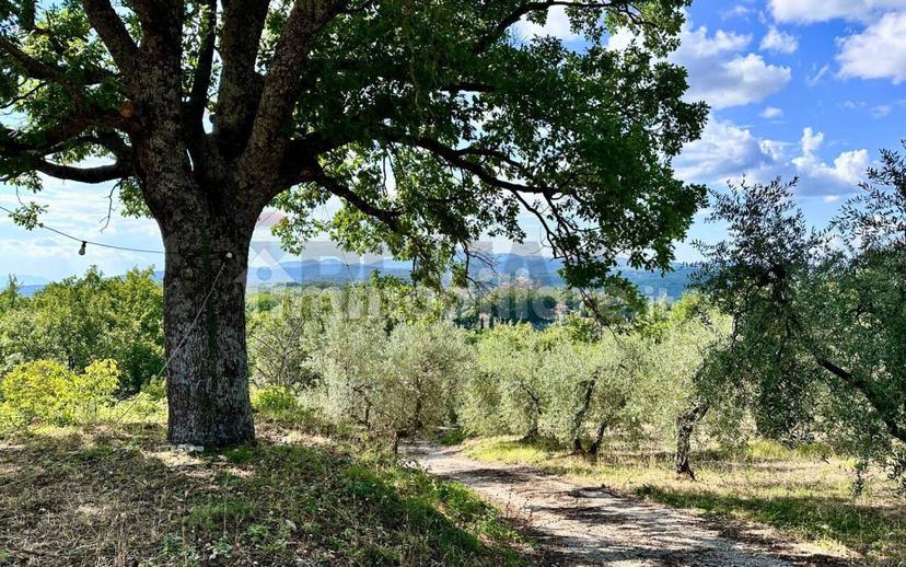 Villa bifamiliare, buono stato, 228 m², Oliveto, Torricella in Sabina — foto 19 di 51