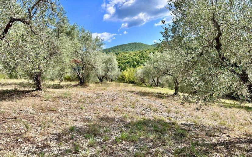 Villa bifamiliare, buono stato, 228 m², Oliveto, Torricella in Sabina — foto 22 di 51