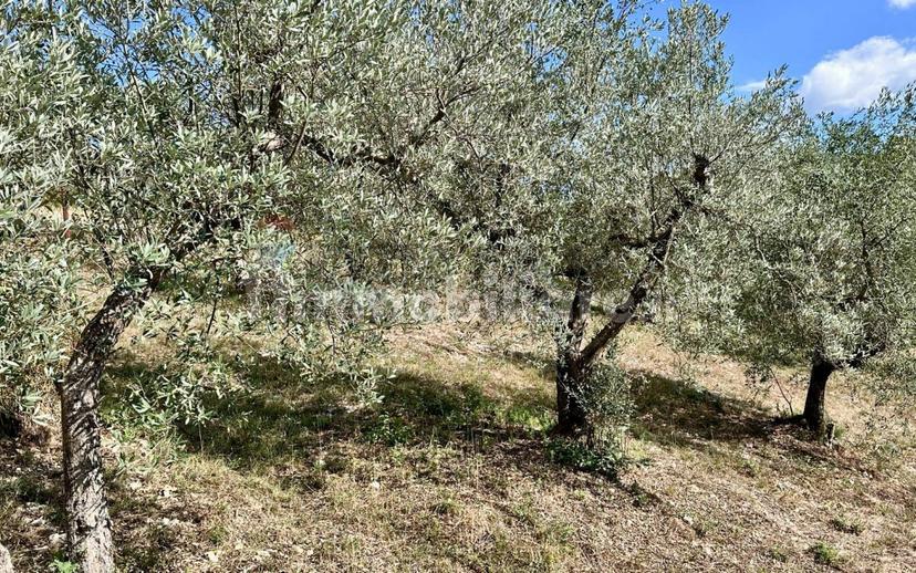Villa bifamiliare, buono stato, 228 m², Oliveto, Torricella in Sabina — foto 15 di 51