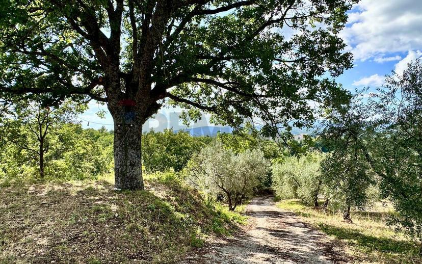 Villa bifamiliare, buono stato, 228 m², Oliveto, Torricella in Sabina — foto 36 di 51