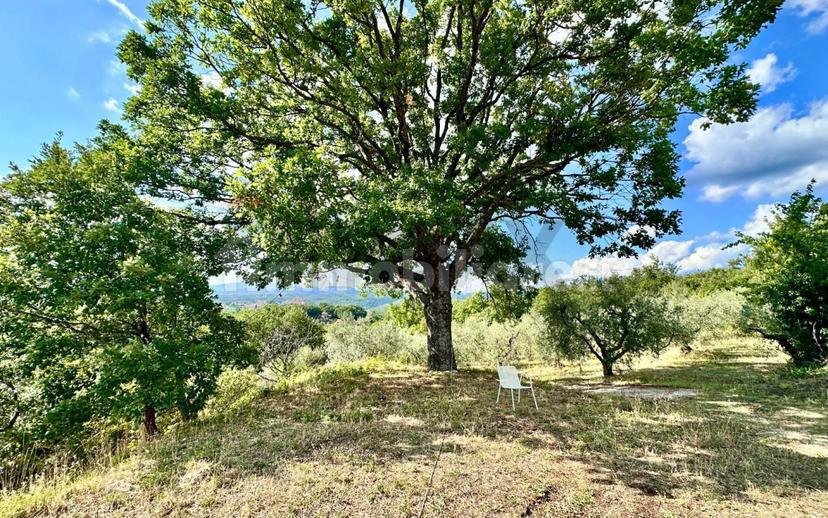 Villa bifamiliare, buono stato, 228 m², Oliveto, Torricella in Sabina — foto 26 di 51