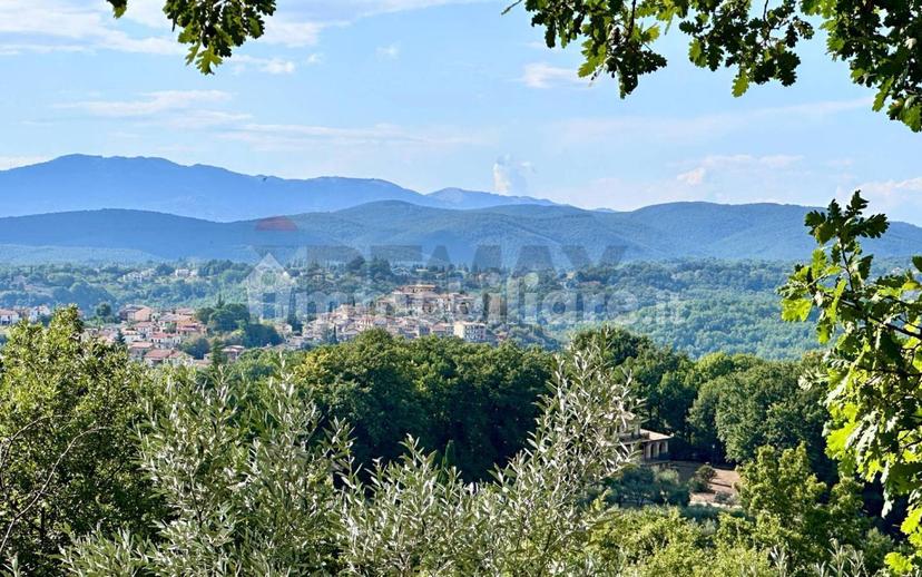 Villa bifamiliare, buono stato, 228 m², Oliveto, Torricella in Sabina — foto 40 di 51