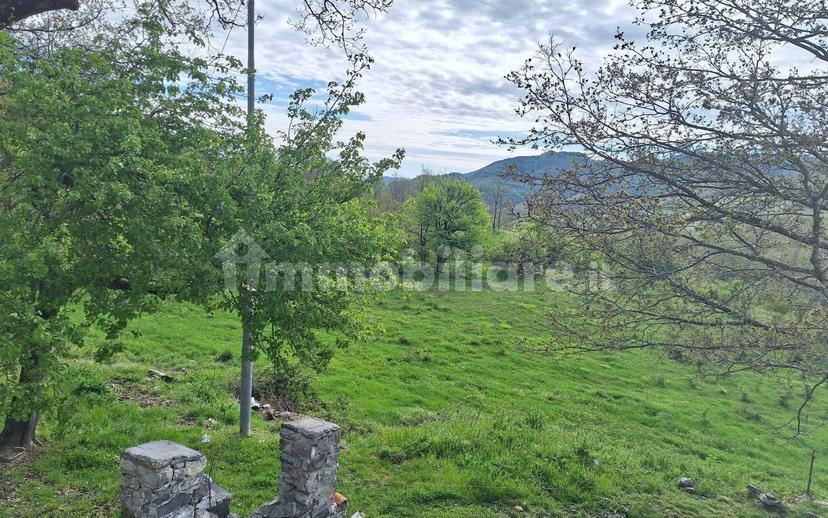 Casale, ottimo stato, 190 m², Terranova di Pollino — foto 11 di 35