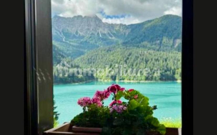 Trilocale ottimo stato, piano terra, Sauris — foto 3 di 16