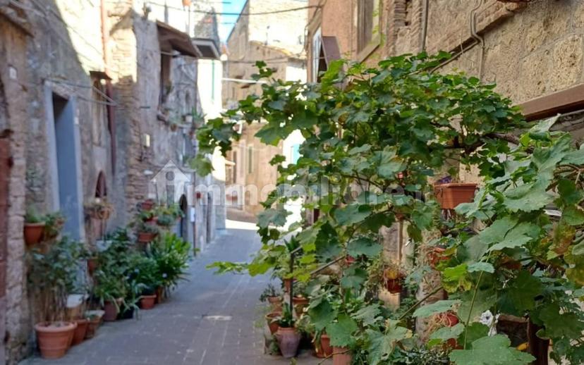 Bilocale piazza del Prato, Centro, Caprarola