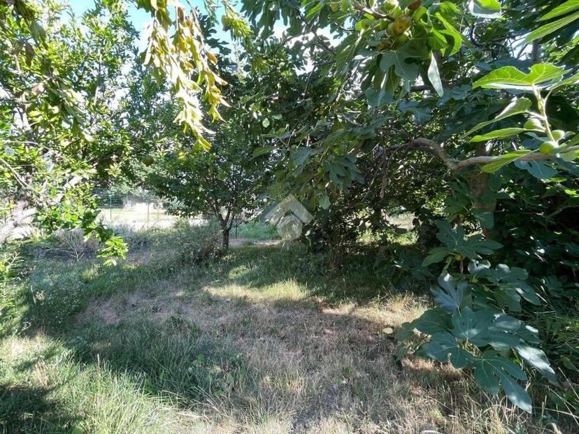 Appartamento frazione Signayes 50, Aosta — foto 19 di 50
