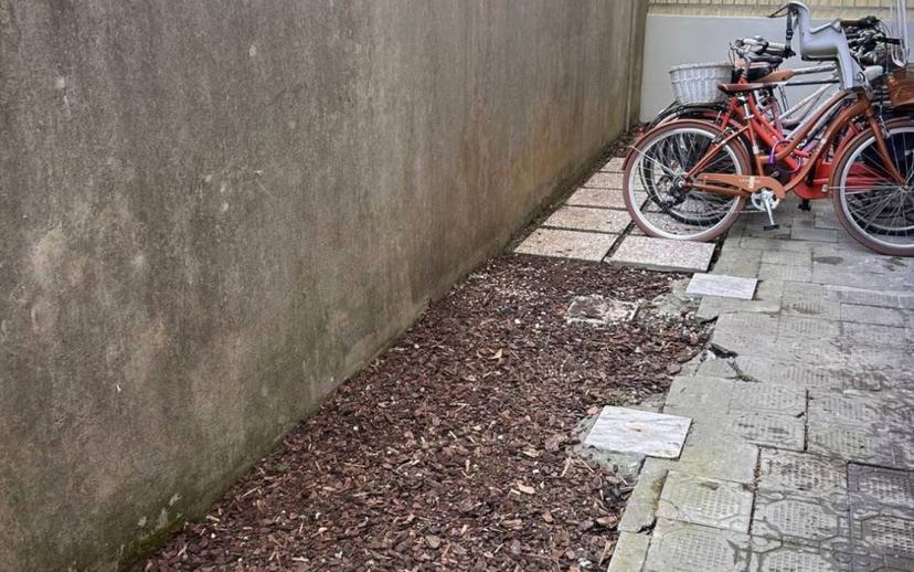 Appartamento via Coppino 100, Darsena - Ex Campo di Aviazione, Viareggio — foto 3 di 29