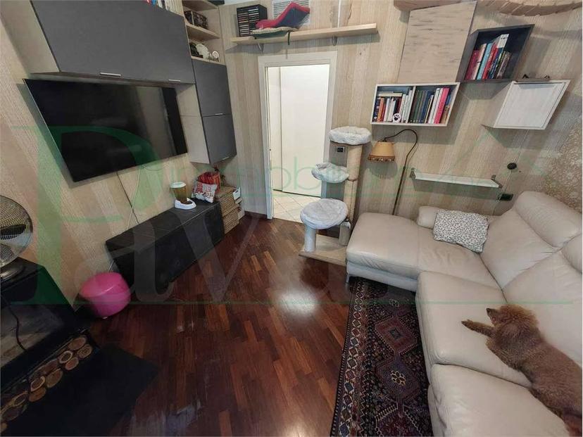 Trilocale via Corrado Ricci, 2, Lagomaggio, Rimini — foto 4 di 24