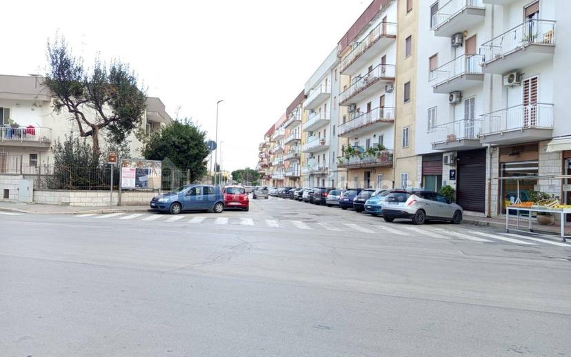 Quadrilocale via Francesco Paolo Ragni, Centro, Bitonto — foto 6 di 9