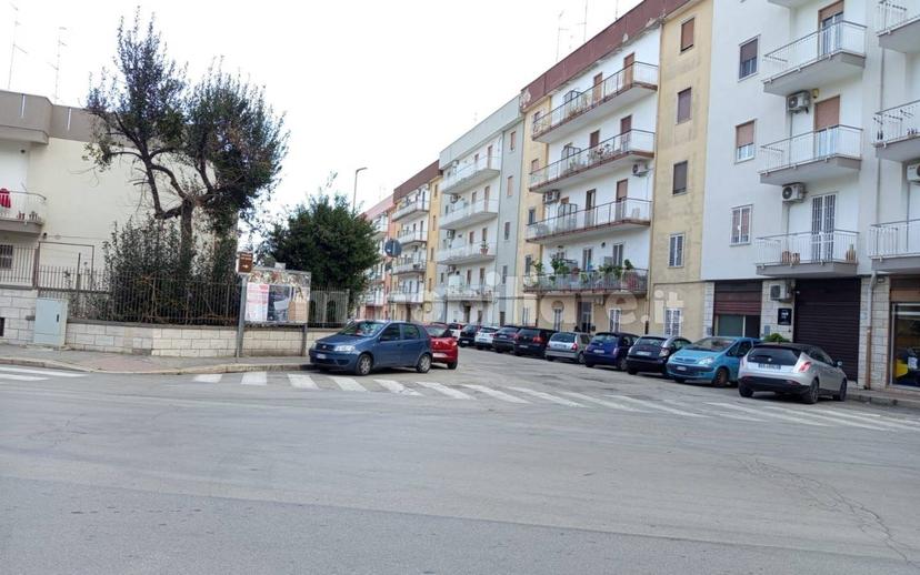 Quadrilocale via Francesco Paolo Ragni, Centro, Bitonto — foto 8 di 9