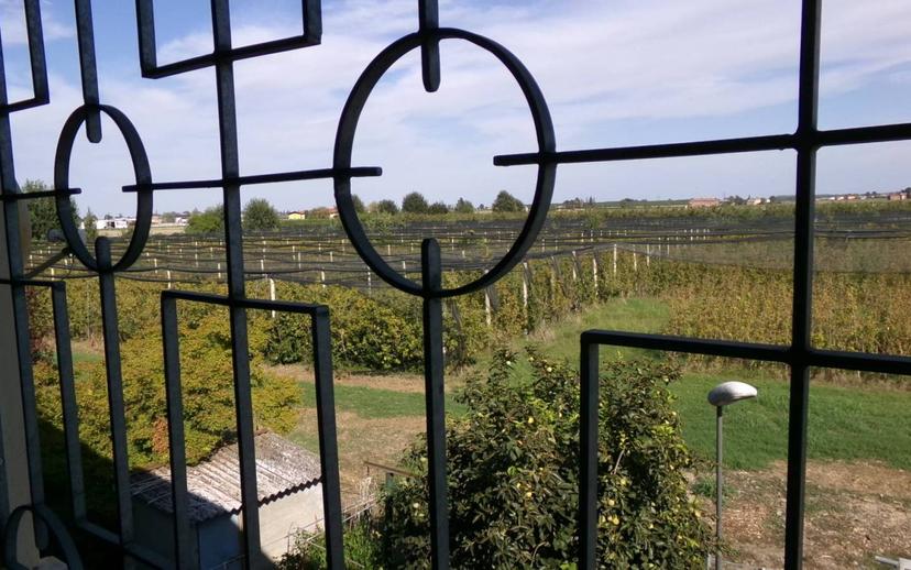 Appartamento via Argine Vecchio 42/F, Mirabello, Terre del Reno — foto 11 di 49