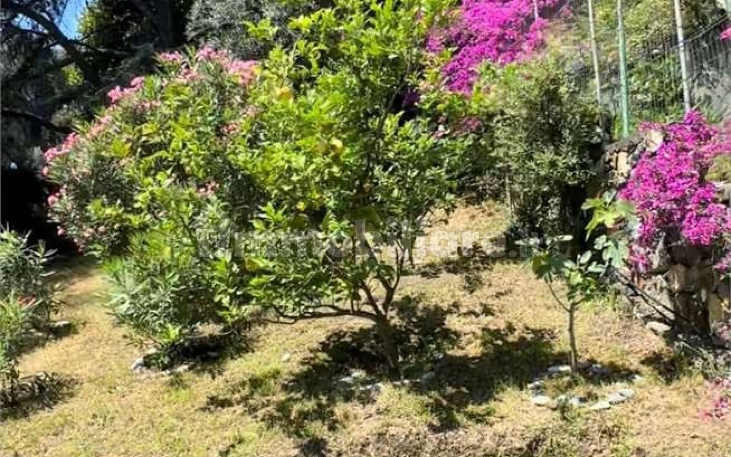 Appartamento via Agave , 16, Sant'Ambrogio, Varazze
