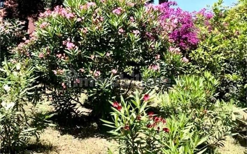 Appartamento via Agave , 16, Sant'Ambrogio, Varazze — foto 32 di 51