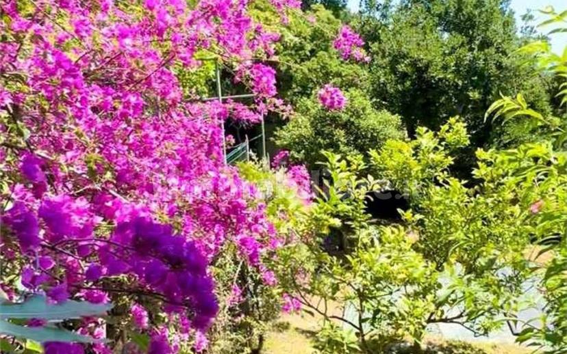 Appartamento via Agave , 16, Sant'Ambrogio, Varazze — foto 37 di 51