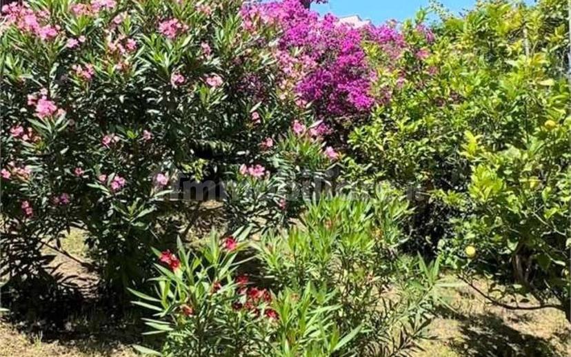 Appartamento via Agave , 16, Sant'Ambrogio, Varazze — foto 51 di 51