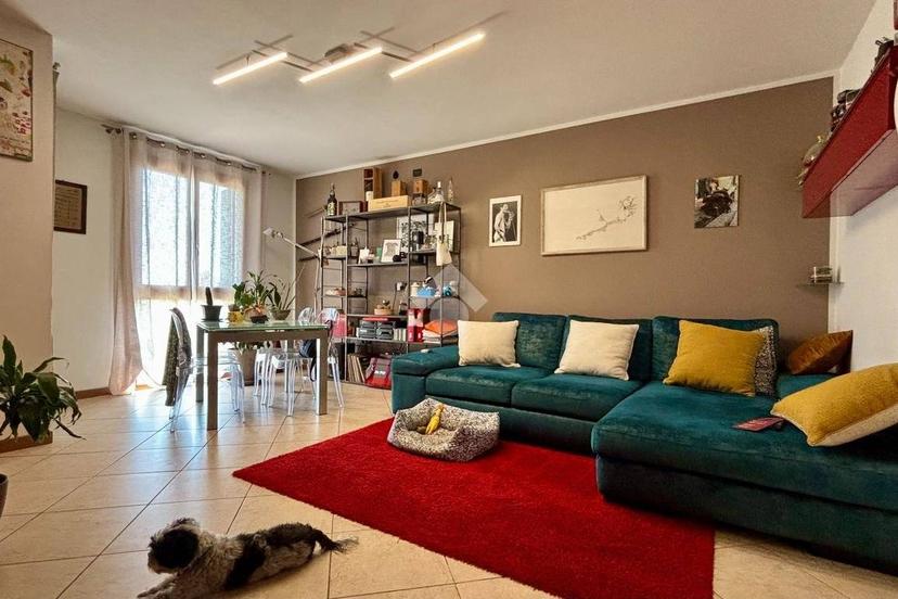 Trilocale via Silvio Pellico, Rubano — foto 19 di 28