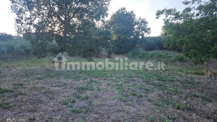 Villa unifamiliare Contrada Bosco, Bosco, Montemiletto — foto 20 di 22